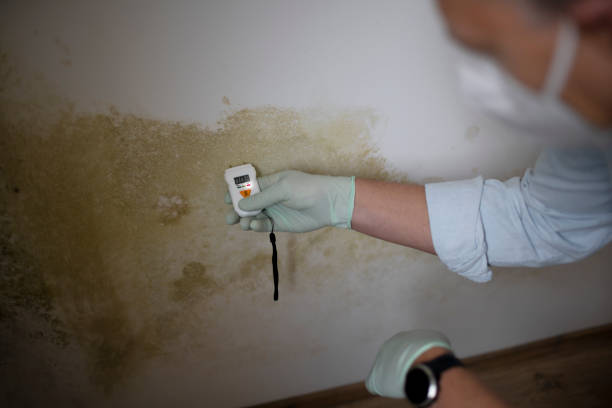 Best Mold Testing  in Swartz, LA